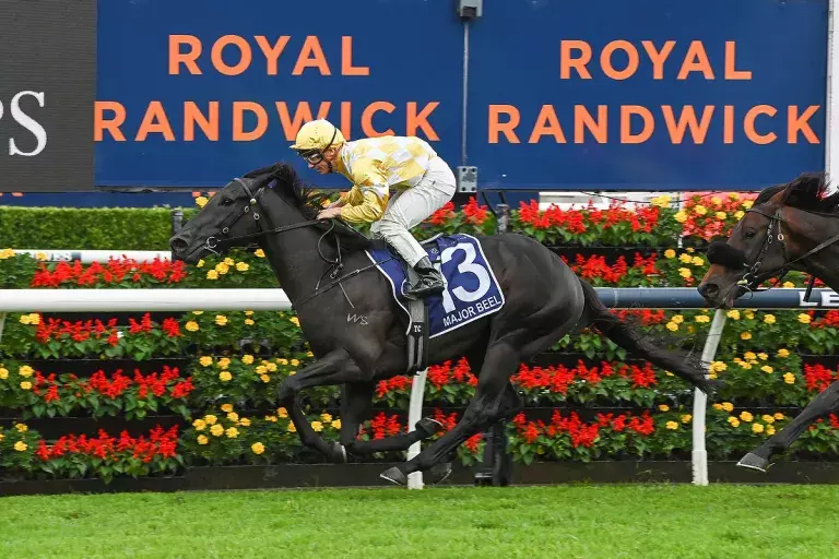 Red-letter day for Waikato Stud