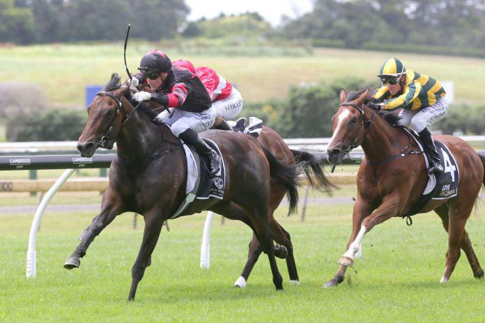 Stakes targets beckon promising filly