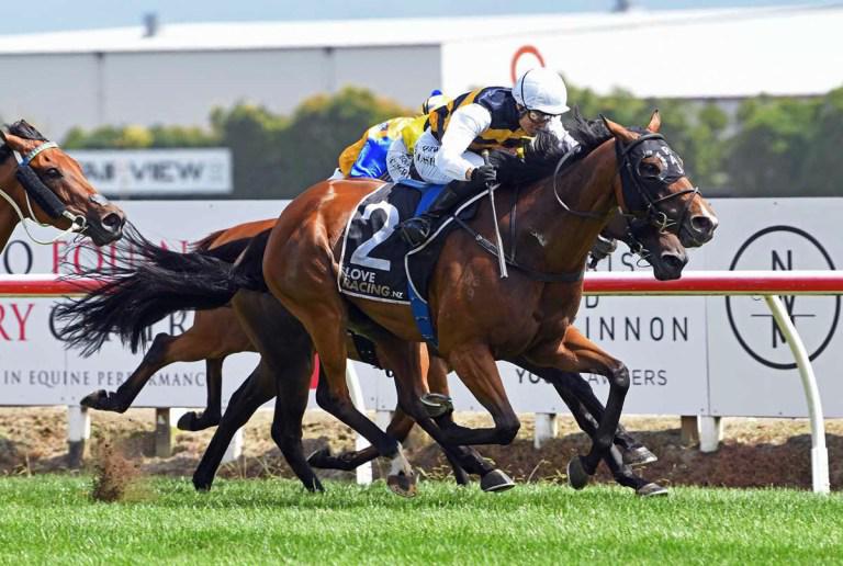 Kiwi stayer to chase Cup start