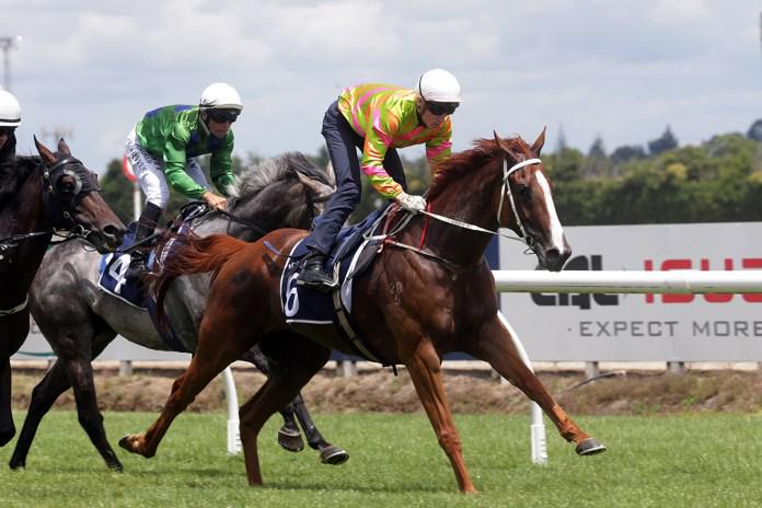 Thorndon focus for Te Rapa triallers
