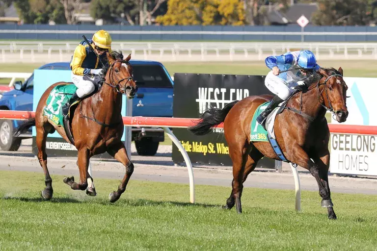 Maximus primed for rich Victorian country final