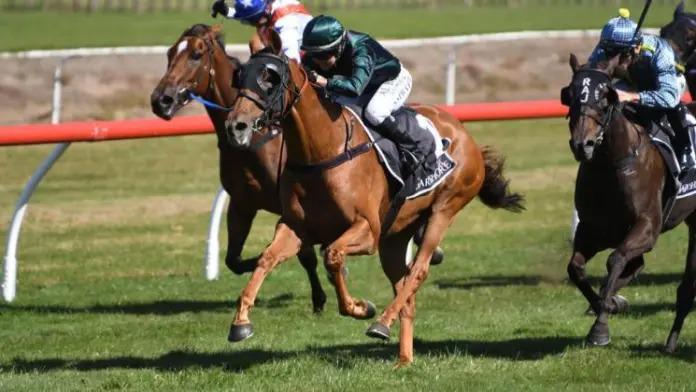 McCarthy runners out for Te Rapa success