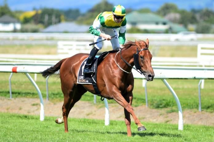Beauden gearing up for Melbourne Campaign