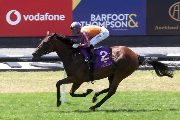 Melody Belle on track for Trentham feature
