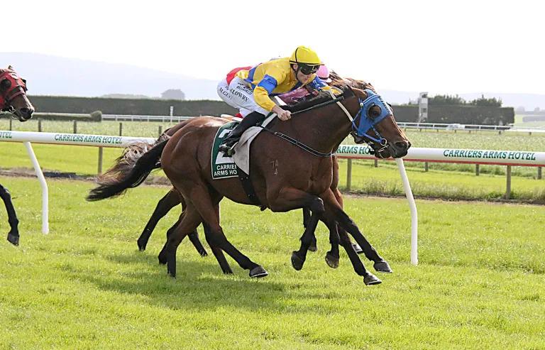 Midnight Runner out for Wingatui win