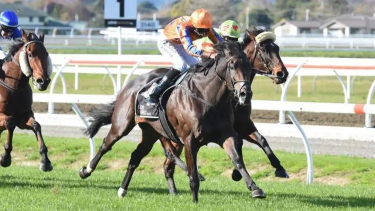 Stakes aim for Te Akau mare