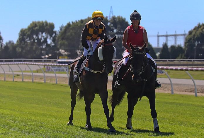 Milford Sound set to cruise to maiden win