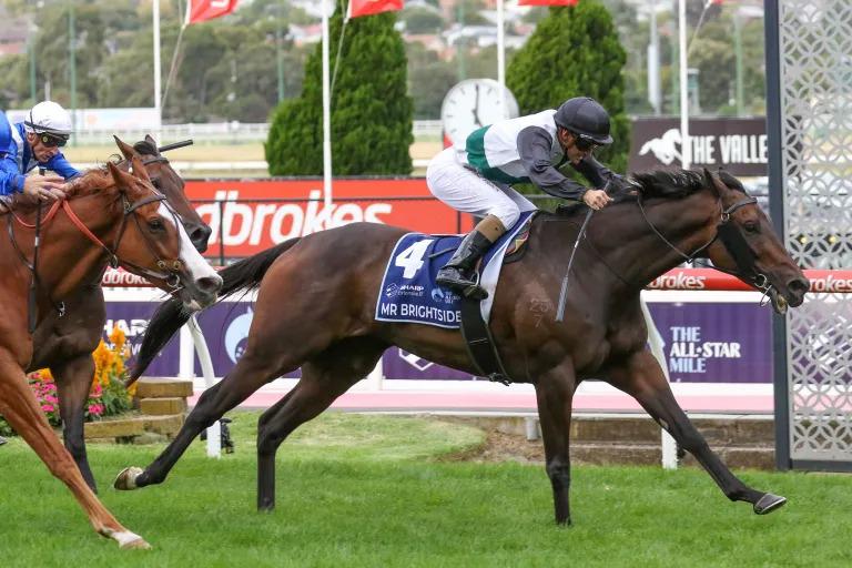 Brightside ready for Cox Plate