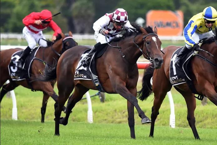 Foote duo ready for Te Rapa features