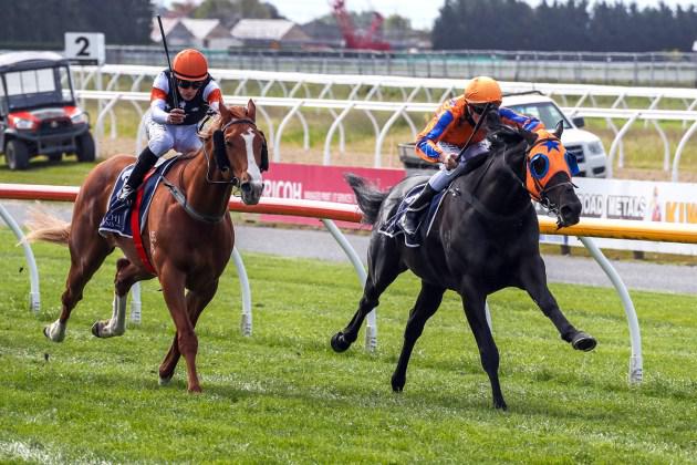 Noverre dialled in for Guineas assignment