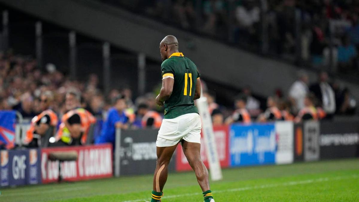 South Africa call in 2019 winner Lukhanyo Am to replace injured Makazole Mapimpi