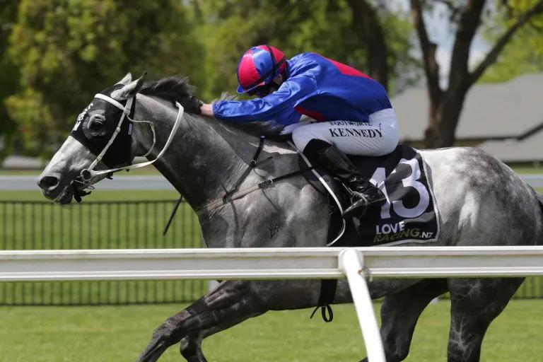 Nest Egg on track for New Zealand Cup