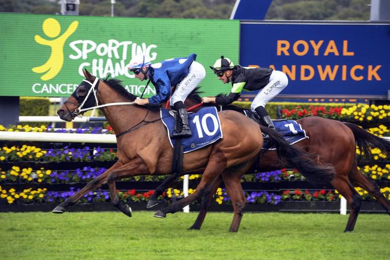 No Compromise primed for Group One test