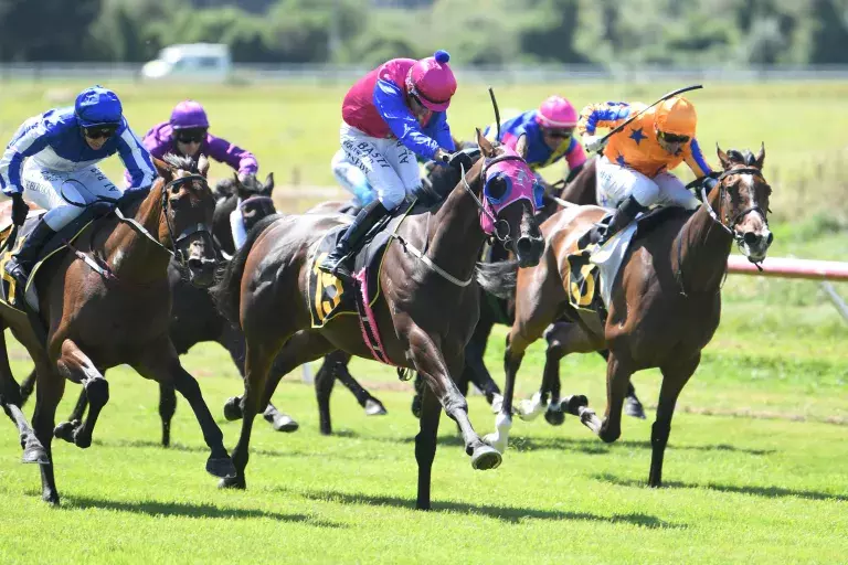 Derby on the cards for Wairarapa Cup winner