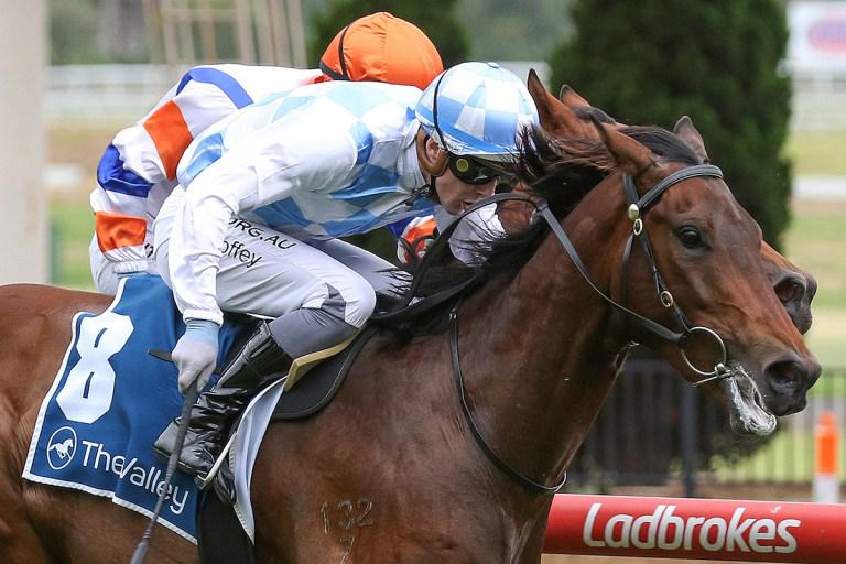Chittick savouring further racetrack success from graduates