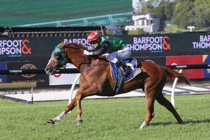 Tarzino in the frame for Cups contender