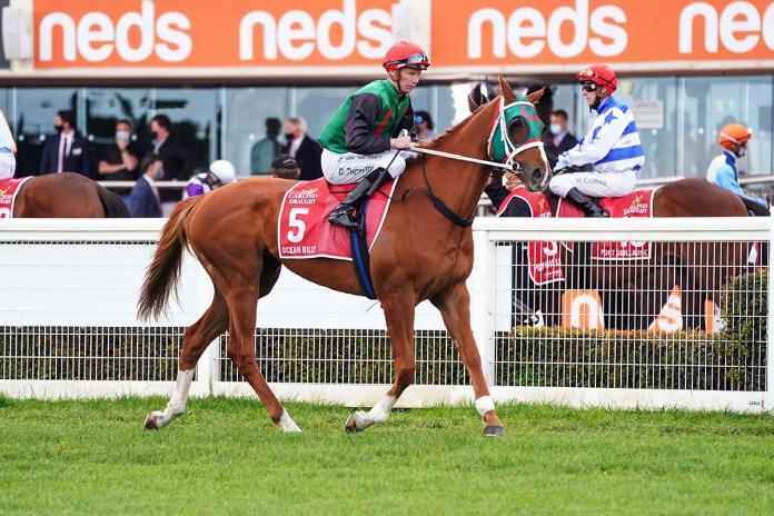 Ocean Billy takes Rotorua to the Melbourne Cup