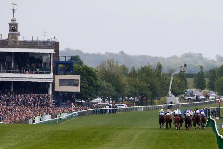 Friday Preview: Newmarket