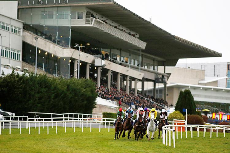 Leopardstown Preview - Glencairn Stakes and the 1m4f King George V Cup.