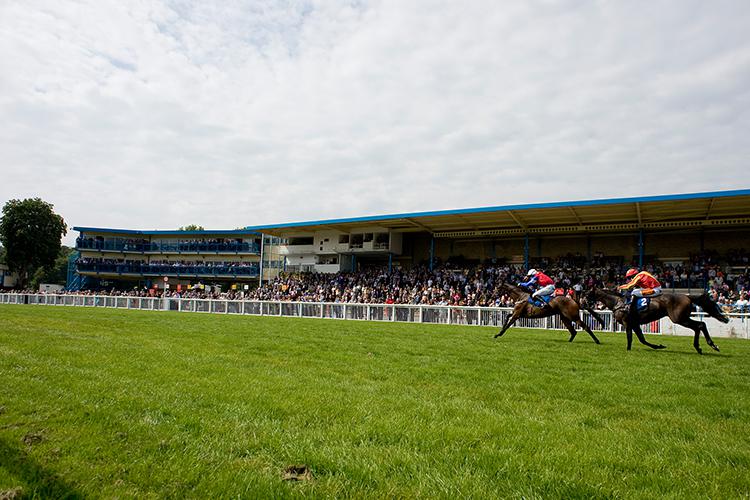 Preview: Newton Abbot Wednesday