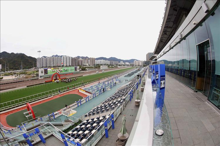 Sha Tin tips article for the race meeting on 10th September 2023