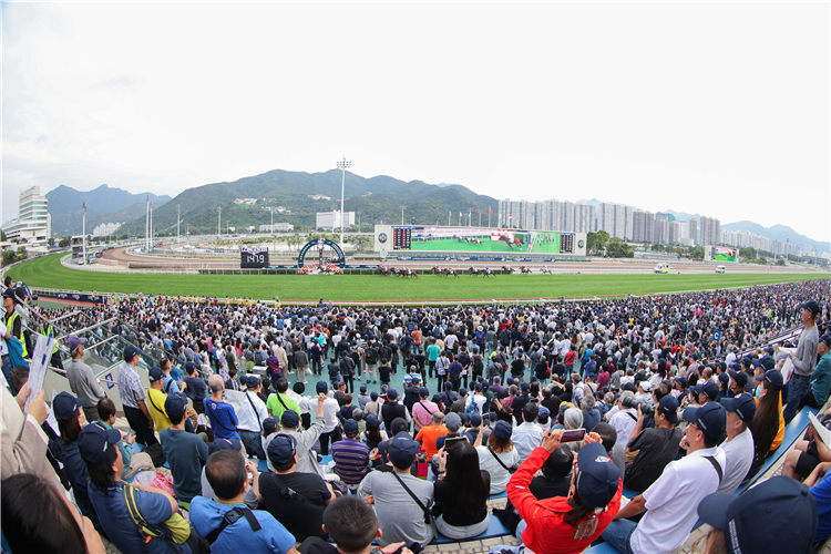 Sha Tin tips article for the race meeting on 12th February 2024