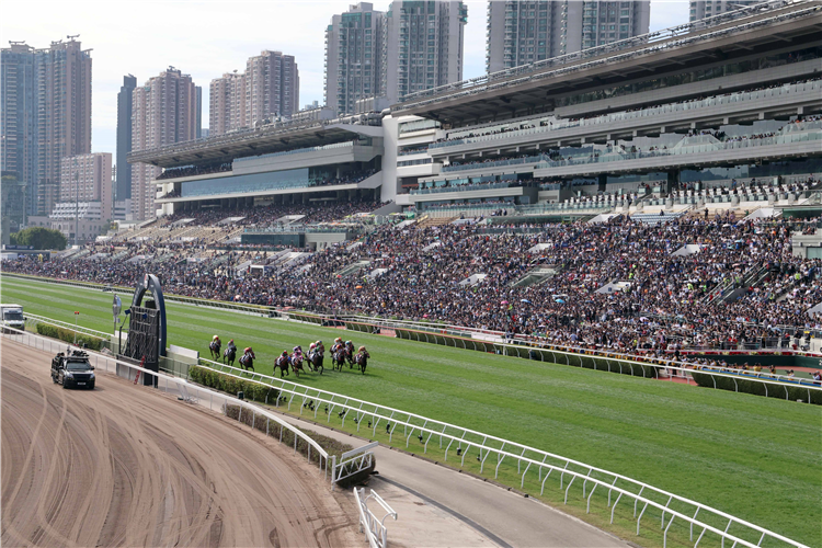 Hong Kong Jockey Club buys six colts at Magic Millions Gold Coast Yearling Sale