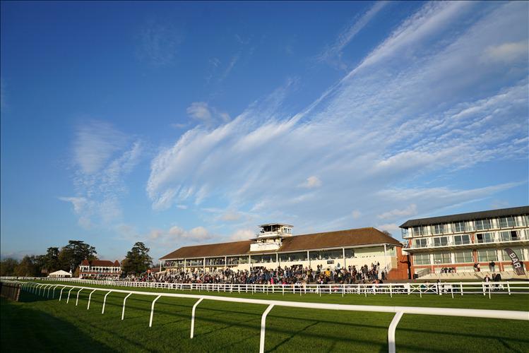 Lingfield hold inspection ahead of Derby Trial