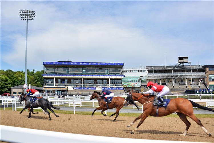 Preview: Northumberland Plate