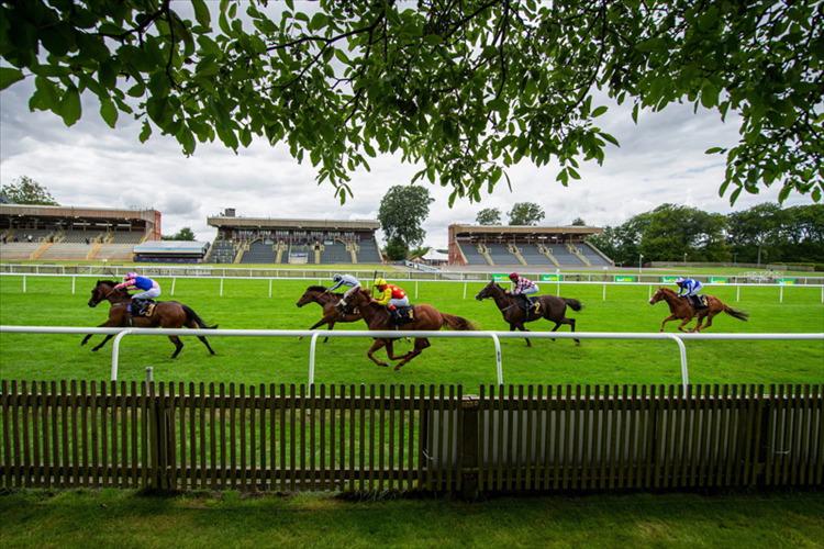 Wednesday Preview: Newmarket