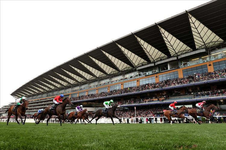 Friday Preview: Ascot