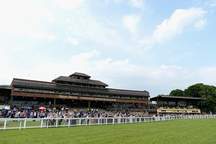 Seven Questions ready for Listed assignment at Ripon