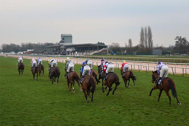 Tuesday Preview: Southwell