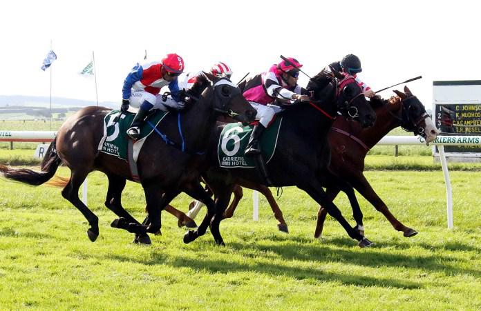 Leading South Island trainer title up for grabs at Oamaru