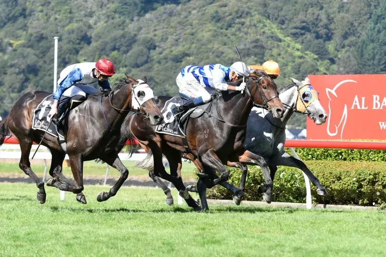 Undefeated mare earns Group One start