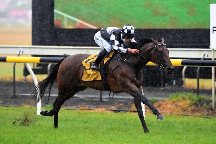 New Plymouth meeting abandoned after first race