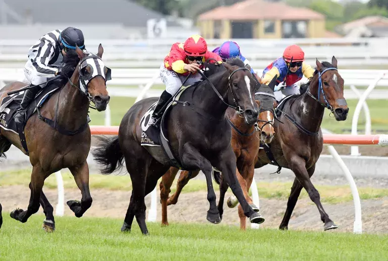 Providenceprovides on target for Riccarton feature