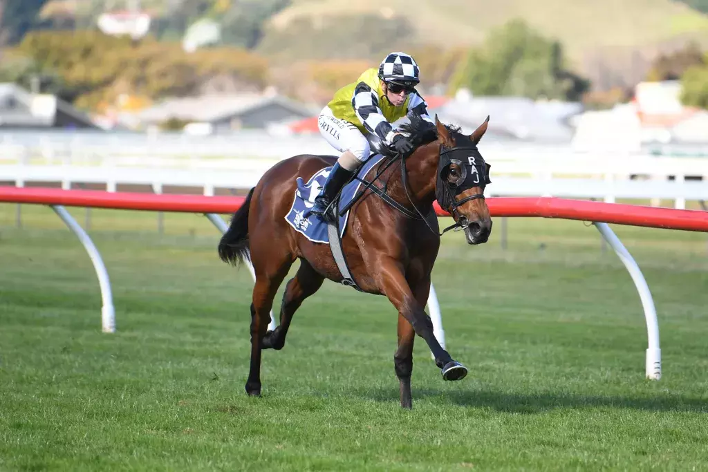 Promising filly looking to show her Prowess at Cambridge