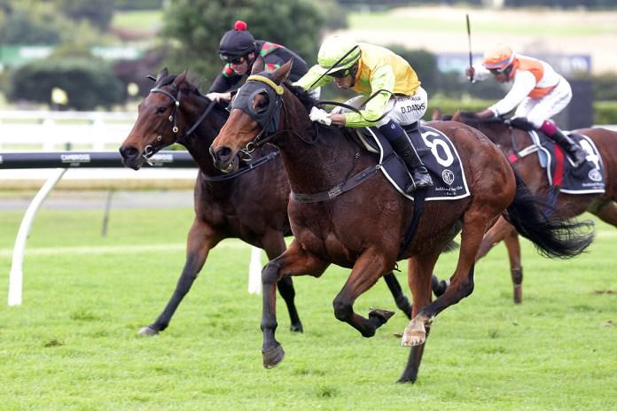 Pacorus turns back the clock for Ellerslie victory