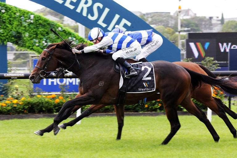 Pearl of Alsace looking for Group One goal
