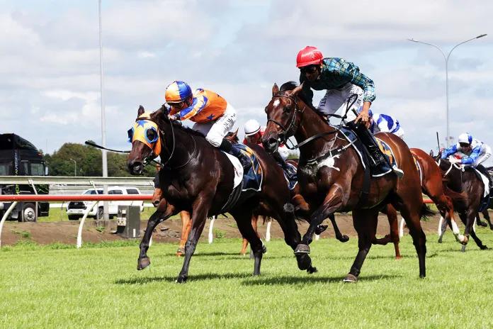 Pendragon takes Auckland Guineas