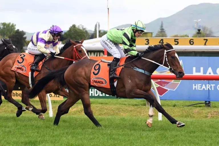 Pennyweka primed for Lowland Stakes