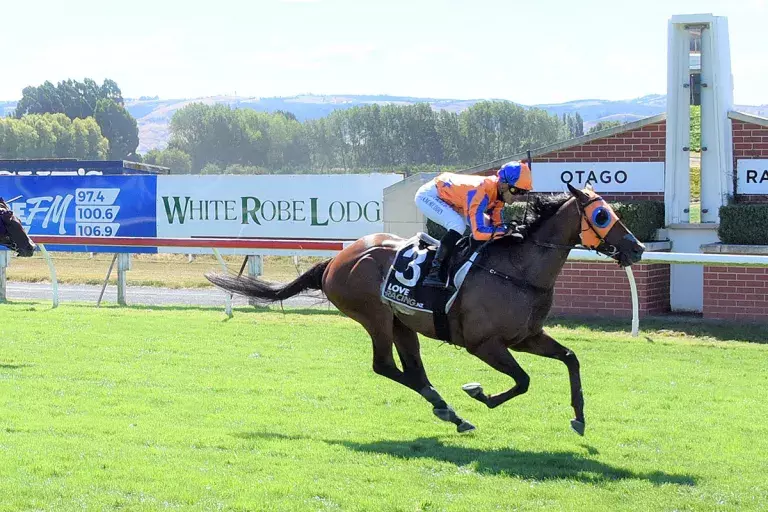 Perfect result in Dunedin feature for Te Akau Racing