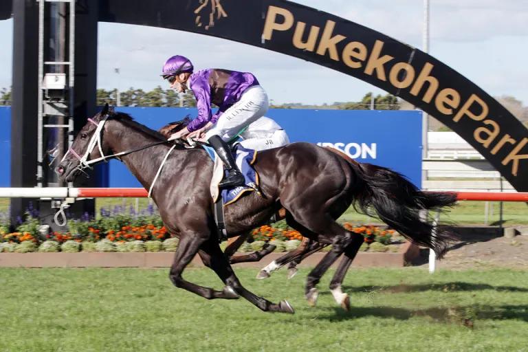 Platinum Invador prepared for Group Two test