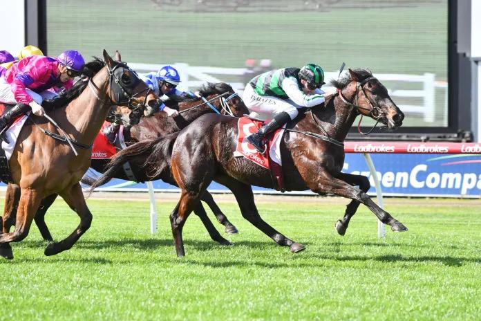 Chalice out to make mark at Sandown