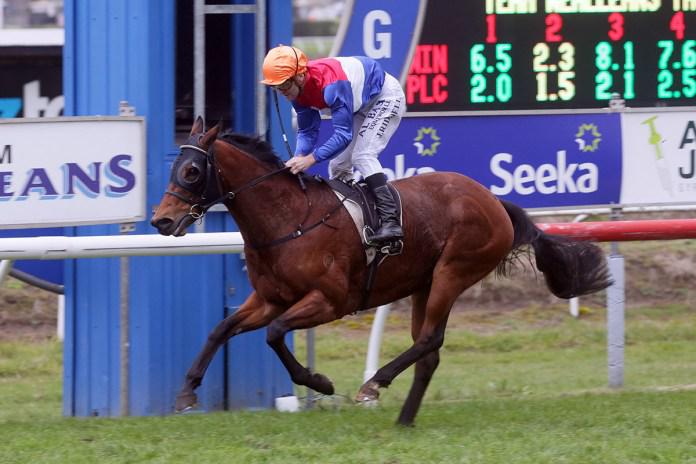 Popstar Princess too tough for her rivals in Tauranga Classic
