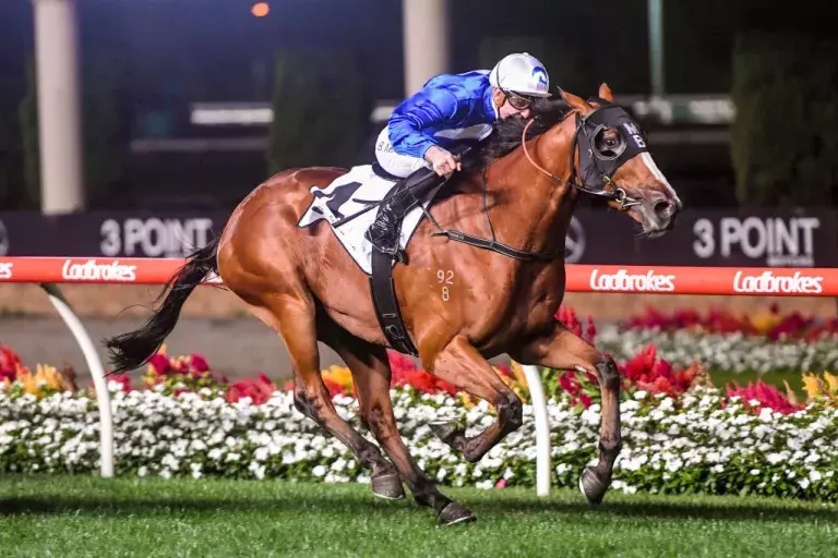 Prix De Turn to bounce back at The Valley