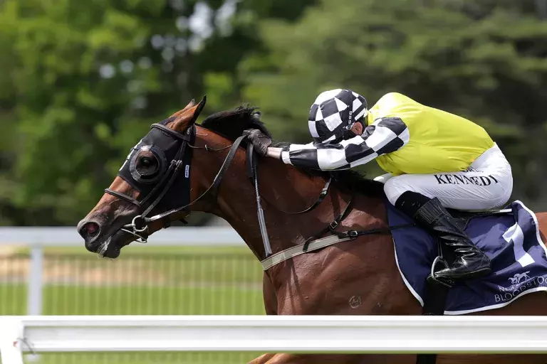 Prowess displays all her class at Te Rapa