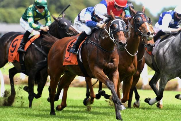 Stakes quinella for Marsh at Te Rapa