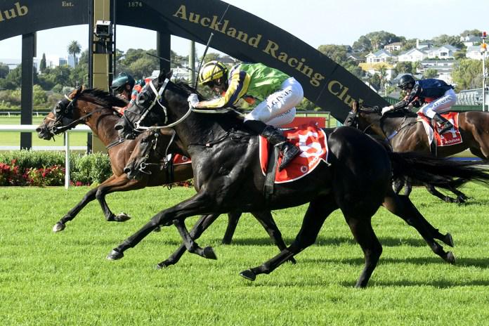 Rocket Spade wins thrilling New Zealand Derby